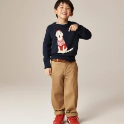 Kids' holiday dog intarsia sweater in cotton