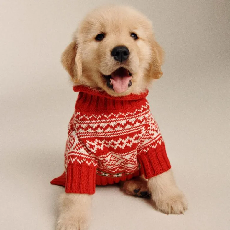 Limited-edition Fair Isle Rollneck™ sweater for dogs