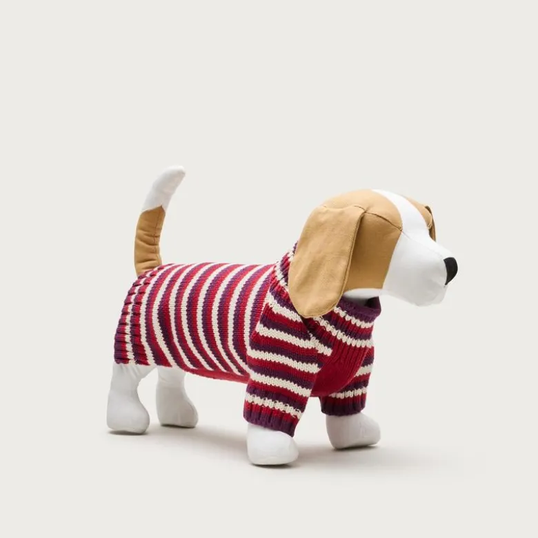Limited-edition striped cotton Rollneck™ sweater for dogs