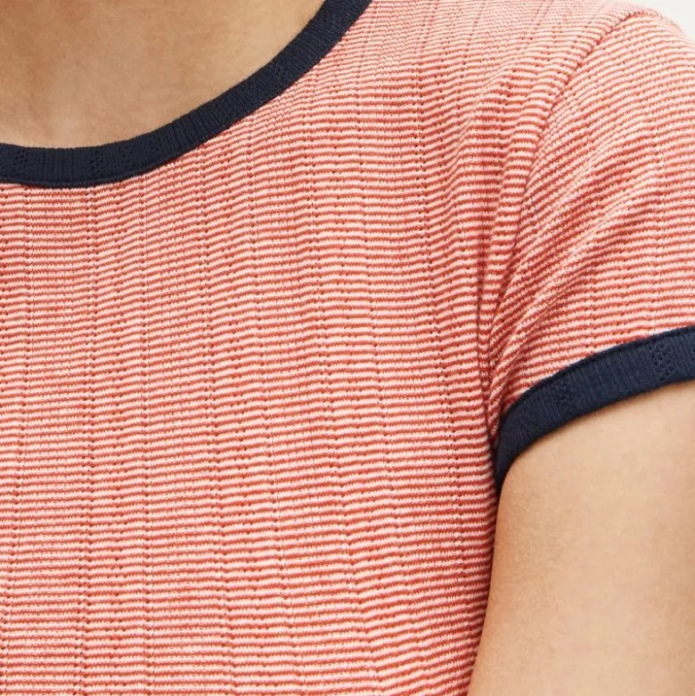 Pointelle ringer T-shirt in stripe
