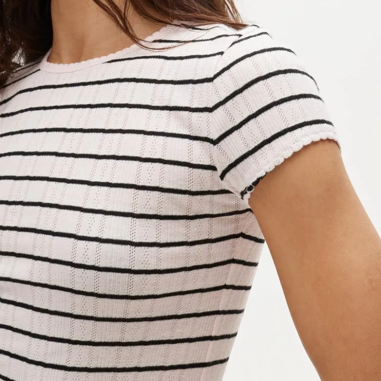 Pointelle short-sleeve T-shirt in stripe