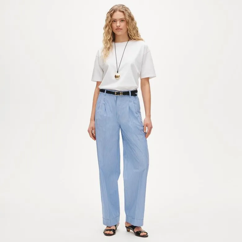 Wide-leg pleated pant in striped cotton
