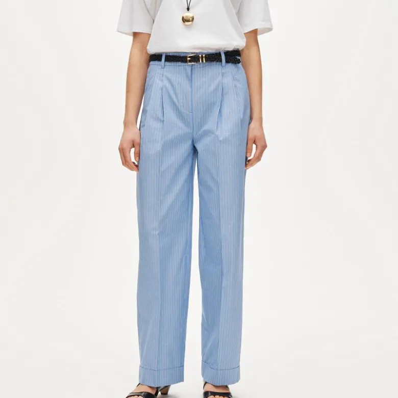 Wide-leg pleated pant in striped cotton